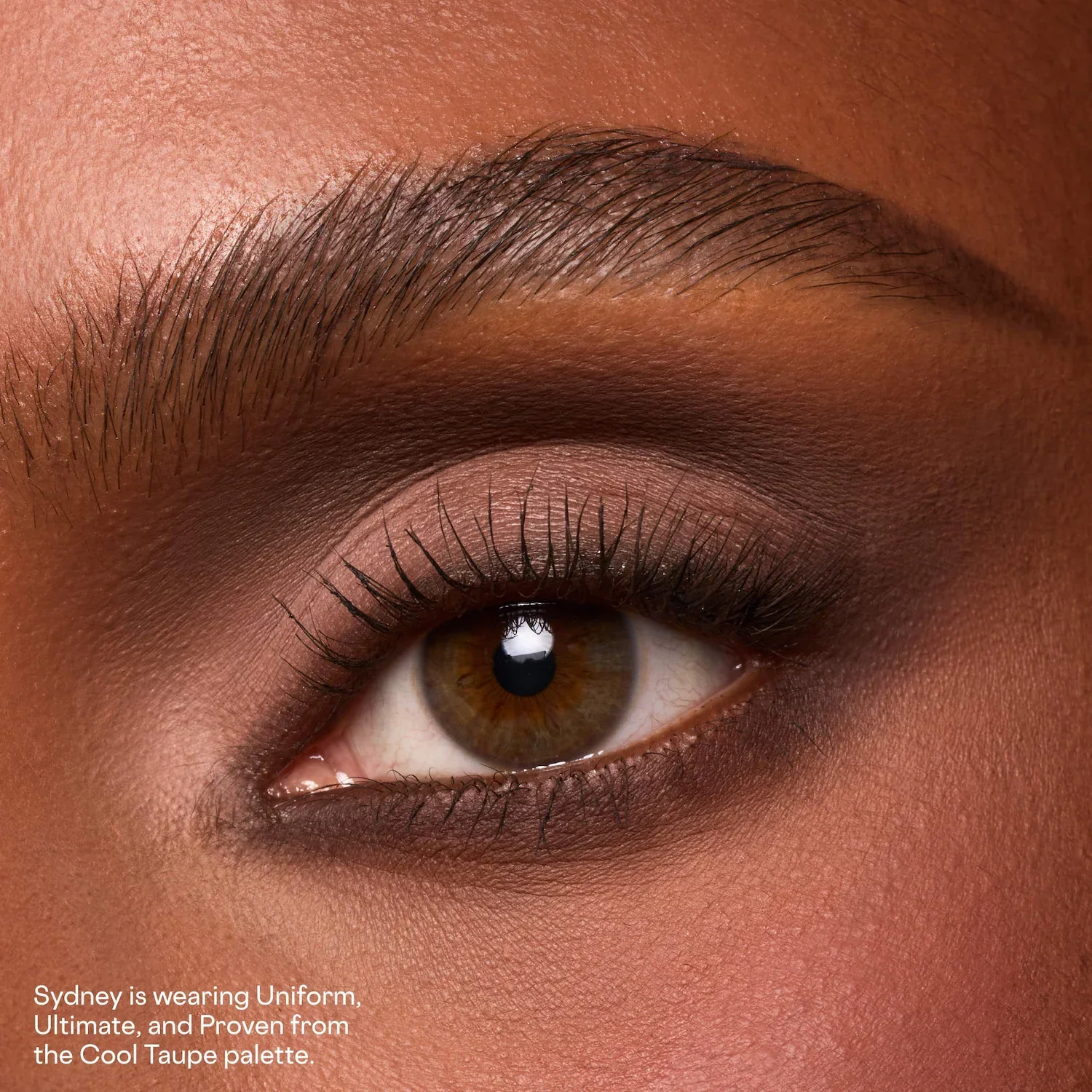 Major Dimension Essential Artistry Edit Eyeshadow Palette — foto 5 de 12