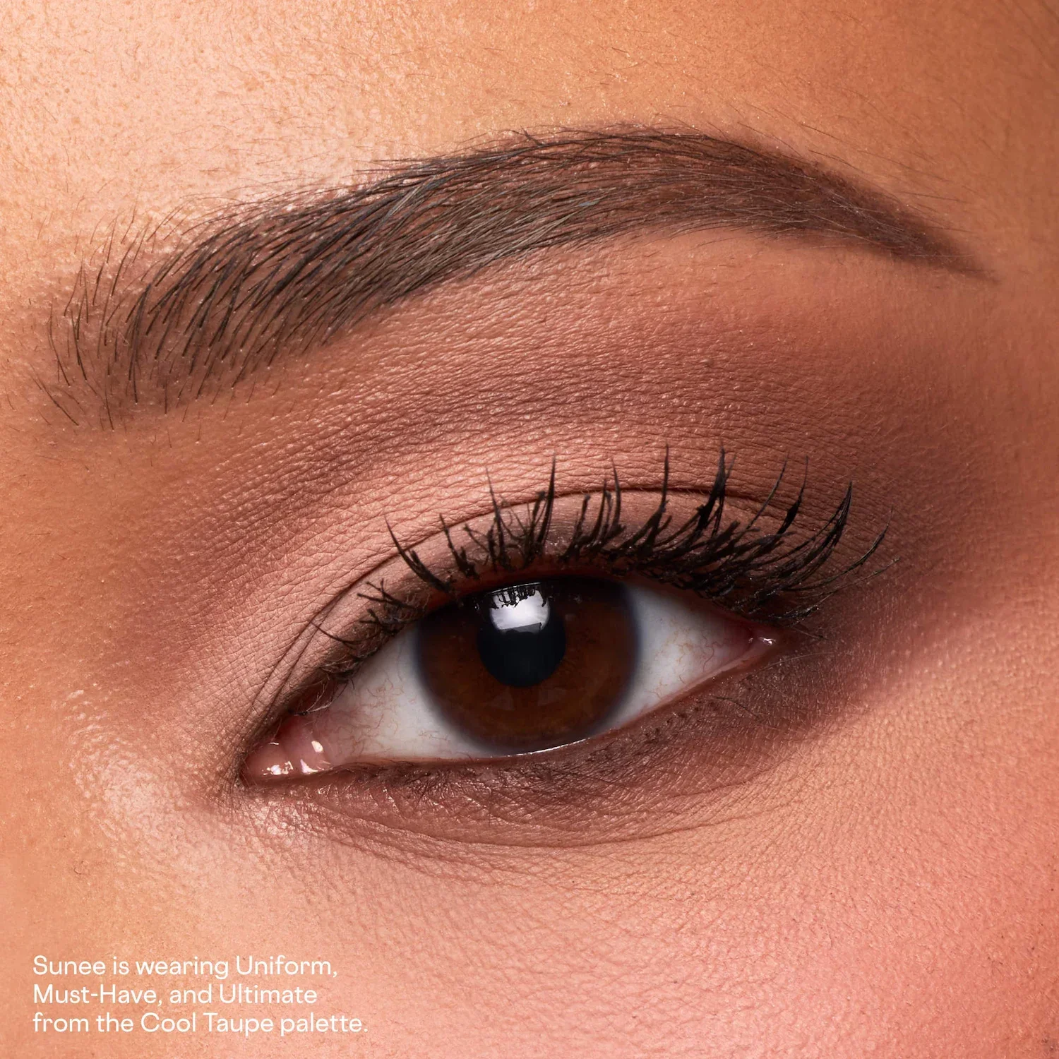 Major Dimension Essential Artistry Edit Eyeshadow Palette — foto 4 de 12