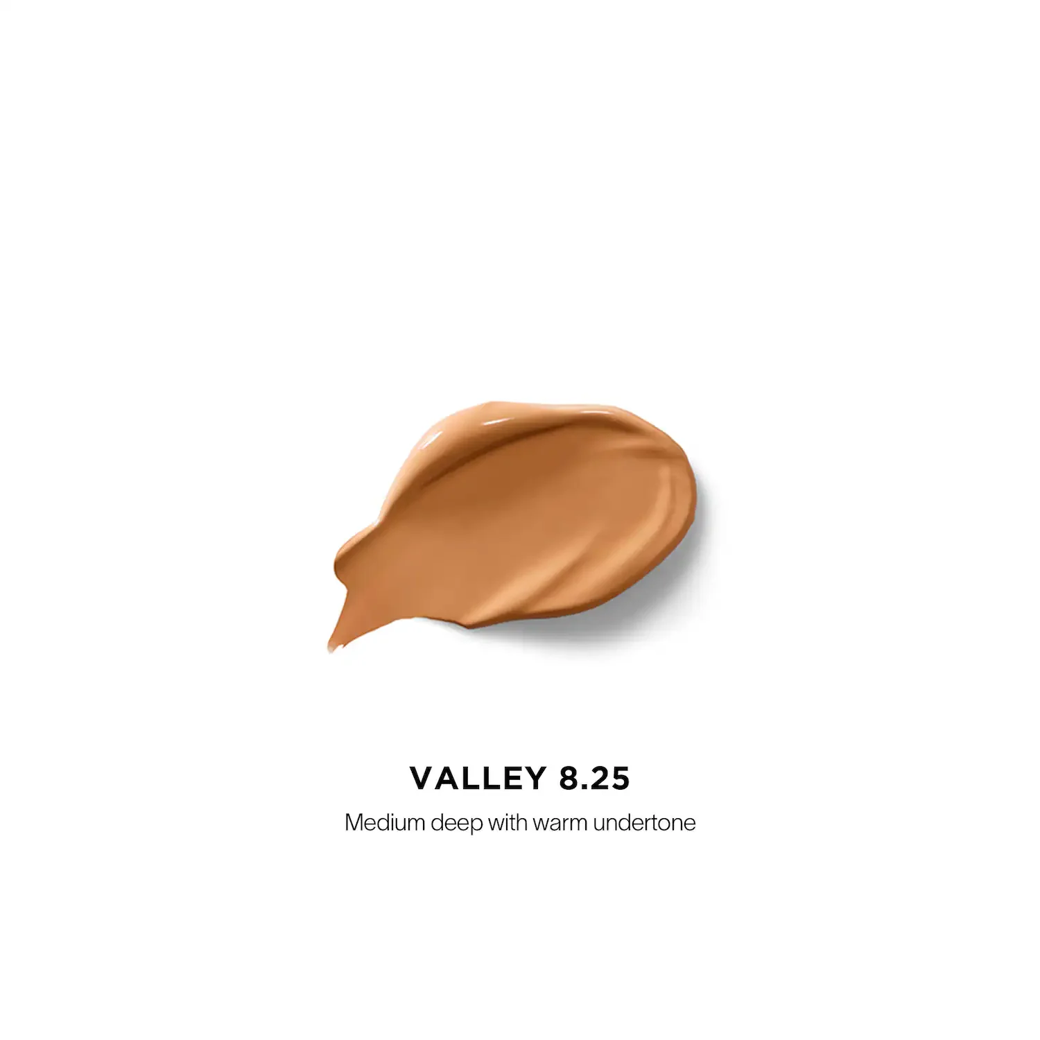 Vanish Airbrush Full Coverage Longwear Concealer — foto 2 de 41